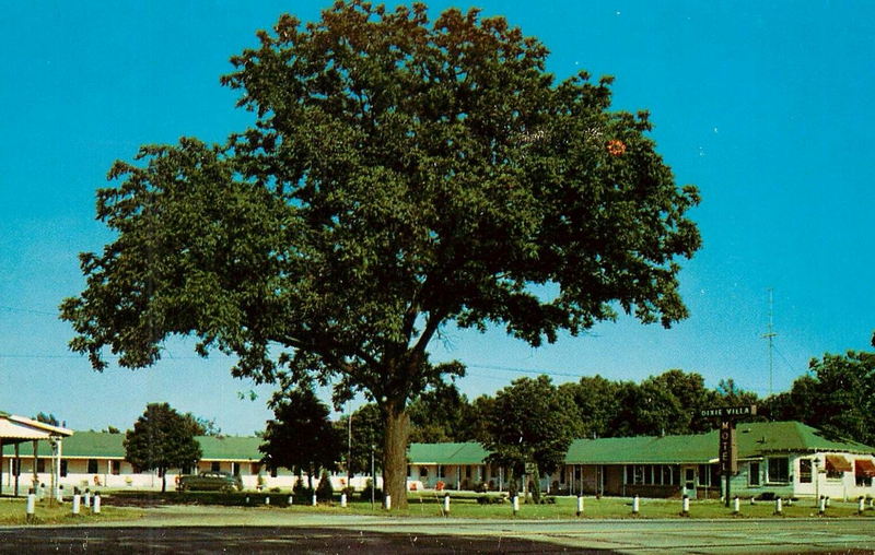 Dixie Villa Motel - Vintage Postcard